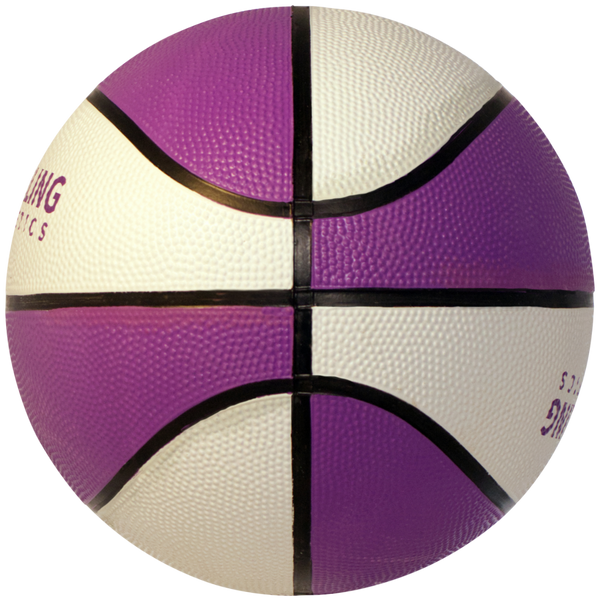 Sterling Athletics Purple/White Indoor/Outdoor Rubber Basketball